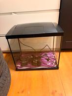 Aquarium 45 liter, Dieren en Toebehoren, Vissen | Aquaria en Toebehoren, Ophalen, Leeg aquarium