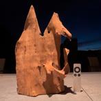 Uniek stuk Kienhout / Driftwood / Spiderwood, Hout Decoratie, Ophalen of Verzenden, Plant(en), Steen of Hout