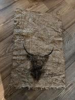 Shabby Doek met Schotse Hooglander, Ophalen