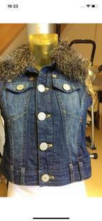 Spijker bodywarmer met teddy voering S van superstar zgan, Blauw, Ophalen of Verzenden, Zo goed als nieuw, Maat 36 (S)