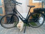 Gazelle Esprit NIEUW!!! E-Bike Elektrische Fiets BAFANG, Fietsen en Brommers, Elektrische fietsen, Ophalen, Nieuw, 51 tot 55 cm