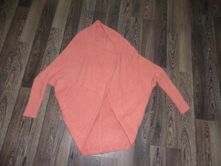 3 damesvesten maat M/L, Sumcoo, Sweewë, en Vila, Kleding | Dames, Truien en Vesten, Gedragen, Maat 38/40 (M), Ophalen of Verzenden