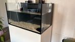 Red Sea G2 Max Nano XXL met Wit Kast, Ophalen, Zo goed als nieuw, Leeg aquarium