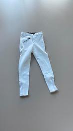 Wedstrijd broek Qhp maat 140, Dieren en Toebehoren, Ophalen of Verzenden, Zo goed als nieuw, Kinderen, Onderkleding