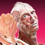 Body Worlds, Boeken, Kunst en Cultuur | Beeldend, Ophalen of Verzenden, Zo goed als nieuw, Overige onderwerpen