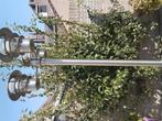 Nieuw buiten lantaarn met 3 x lichtpunten  50 euro, Tuin en Terras, Ophalen, Nieuw, Rvs, Minder dan 50 watt