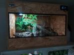 Terrarium OSB3 70x50x50 compleet, Ophalen, Zo goed als nieuw, Terrarium of Paludarium