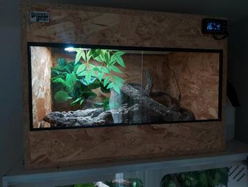 Terrarium OSB3 70x50x50 compleet beschikbaar voor biedingen