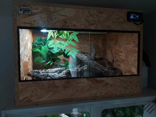 Terrarium OSB3 70x50x50 compleet, Dieren en Toebehoren, Reptielen en Amfibieën | Toebehoren, Zo goed als nieuw, Terrarium of Paludarium
