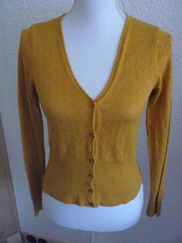 Okergeel King Louie ajour hartjes vest maat S., Kleding | Dames, Truien en Vesten, Zo goed als nieuw, Maat 36 (S), Geel, Ophalen of Verzenden