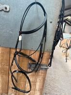NIEUW Kieffer hoofdstel, Dieren en Toebehoren, Ophalen of Verzenden, Nieuw, Dressuur