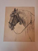 Paard Tekening - Potloodschets, Antiek en Kunst, Kunst | Tekeningen en Foto's, Ophalen of Verzenden