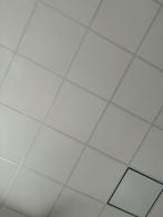 Plafondpanelen, Ophalen of Verzenden, Zo goed als nieuw, Overige materialen, Minder dan 20 mm