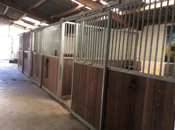 Stalling voor paard of pony in Wijngaarden aangeboden, Dieren en Toebehoren, Stalling en Weidegang, Stalling, Weidegang, 1 paard of pony