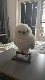 Hedwig harry potter uil, Verzamelen, Harry Potter, Ophalen, Zo goed als nieuw, Actiefiguurtje