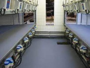 melkstal vloeren en Voergoten renoveren  beschikbaar voor biedingen