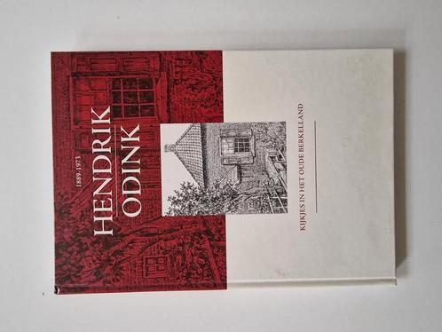 Hendrik Odink kijkjes in het oude Berkelland, Boeken, Geschiedenis | Stad en Regio, Nieuw, 20e eeuw of later, Ophalen of Verzenden