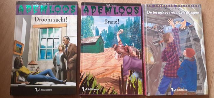3x leesboek Droomzacht , Brand , de terugkeer v/d Vikingen !, Boeken, Kinderboeken | Jeugd | onder 10 jaar, Nieuw, Fictie algemeen