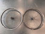 Xc 29er Shimano Spline 12sp Mtb Wielset Te Koop!, Wiel, Zo goed als nieuw, Giant, Mountainbike