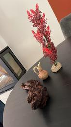 Decoratie voor vissenkom: nepplant, hout, vaasje (aquarium), Dieren en Toebehoren, Vissen | Aquariumvissen, Vis