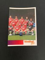 FC Twente Elftal - Panini Voetbal 96 Sticker, Ophalen of Verzenden, Zo goed als nieuw, F.C. Twente, Poster, Plaatje of Sticker