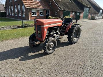 Massey Ferguson 30 smalspoor beschikbaar voor biedingen