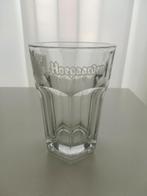 Hoegaarden glas, Ophalen of Verzenden, Nieuw, Glas of Glazen, Overige merken