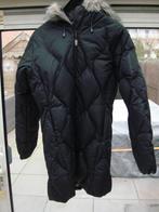 Dames Salomon jas dons zwart maat 36 S, Salomon, Zwart, Ophalen of Verzenden, Maat 36 (S)