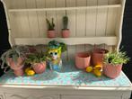 Elho Plantenpotten Oud Roze - Set van 8, Tuin en Terras, Ophalen, Kunststof, Rond, Binnen