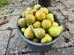 Biologische onbespoten Gieser Wildeman stoofperen, Diversen, Levensmiddelen, Ophalen