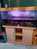 350liter aquarium met meubel, Dieren en Toebehoren, Ophalen, Gebruikt, Leeg aquarium