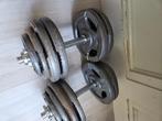 gietijzeren halters 2 x 28,7 kg, Sport en Fitness, Fitnessmaterialen, Ophalen of Verzenden, Gebruikt, Rug, Dumbbell