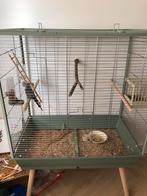 Parkiet met kooi, Dieren en Toebehoren, Ophalen of Verzenden, Zo goed als nieuw, Metaal, Vogelkooi