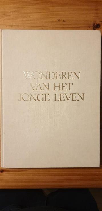 Wonderen van het jonge leven door Han Rensenbrink. beschikbaar voor biedingen