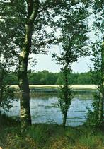 BORGER Meertje, Verzenden, 1960 tot 1980, Gelopen, Drenthe