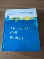 Molecular Cell Biology 5th edition Lodish, Boeken, Studieboeken en Cursussen, Ophalen of Verzenden, Zo goed als nieuw