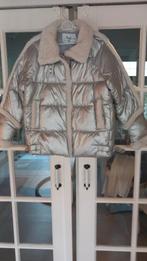Damesjack van K Zell maat S nieuw zilver, Kleding | Dames, Jassen | Winter, Ophalen of Verzenden, Nieuw