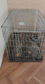 Bench voor honden grote maat, Dieren en Toebehoren, Ophalen, Zo goed als nieuw