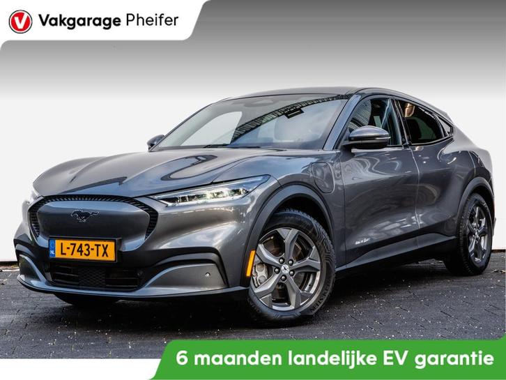 Ford Mustang Mach-E RWD 75 kWh Leer/ Stoel-stuurverwarming/, Auto's, Ford, Bedrijf, Te koop, Mustang, ABS, Achteruitrijcamera