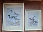 2 vogel schilderijtjes, Antiek en Kunst, Ophalen of Verzenden