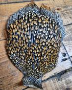 Jungle cock gezocht, Ophalen of Verzenden, Zo goed als nieuw, Overige typen