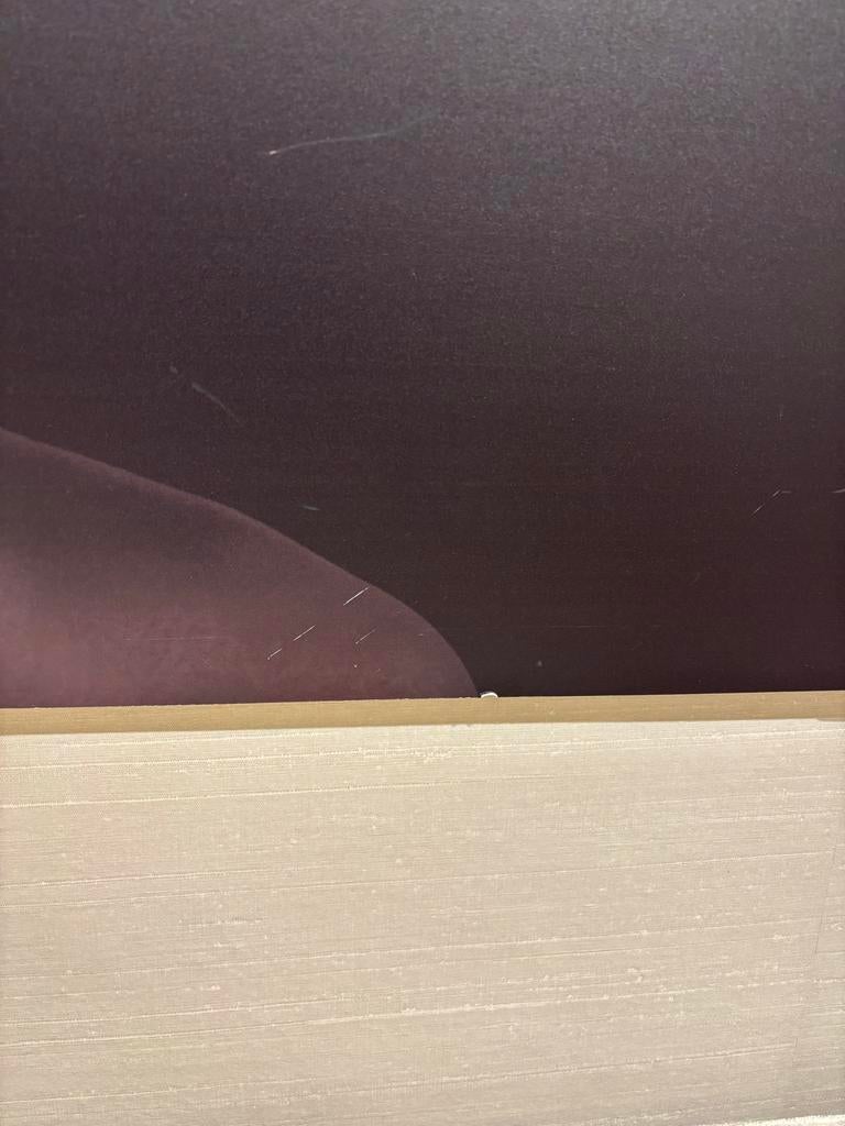 Prachtige Print van Vrouw met Bloemen ALU ART, Ophalen, Gebruikt, Oorspronkelijke maker, Print