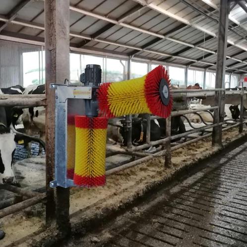 Diverse koeborstels, Dieren en Toebehoren, Overige Dieren-accessoires, Nieuw, Ophalen of Verzenden