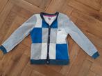 Gsus vest maat 140, Ophalen of Verzenden, Zo goed als nieuw, Jongen, Trui of Vest