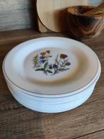 Set van tien Vintage ontbijtborden Arc Arcopal, Gebruikt, Ophalen of Verzenden, Glas, Bord(en)