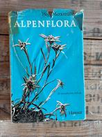 HEGI Alpenflora, Ophalen of Verzenden, Gelezen