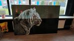 Tijger op Glas - Groot Schilderij, Huis en Inrichting, Ophalen, Schilderij, 75 cm of meer