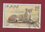 Fauna - Katachtigen - Sahara Occ. - Jachtluipaard - gebr, Ophalen of Verzenden, Gestempeld, Dier of Natuur