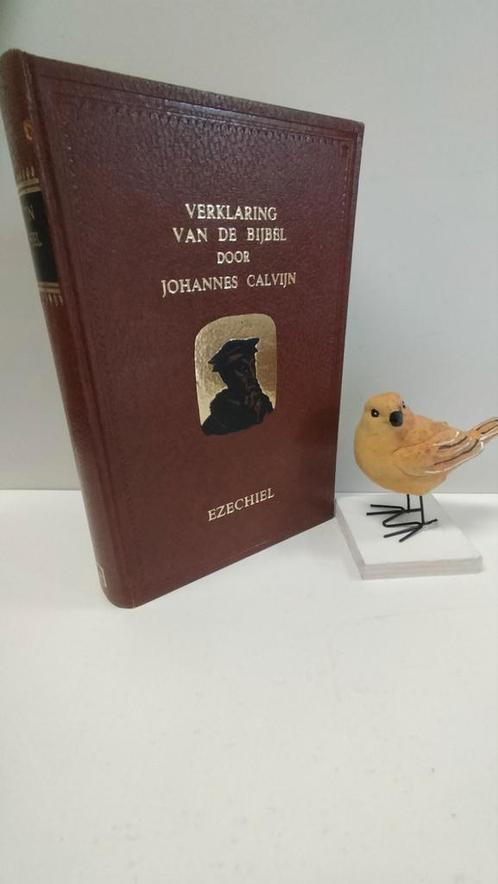 Calvijn, Joh. ; Verklaring van de Bijbel : Ezechiël, Boeken, Godsdienst en Theologie, Gelezen, Christendom | Protestants, Ophalen of Verzenden