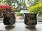 Mooie Chroom Vazen Intratuin, Huis en Inrichting, Woonaccessoires | Vazen, Ophalen, Overige materialen, Overige kleuren, Nieuw